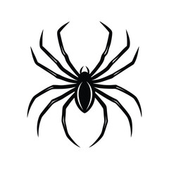 Spider realistic silhouette design on a white background