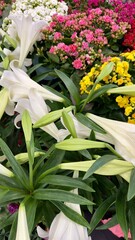 Obraz premium fresh cut spring flowers in a vibrant bunch displayed in a sunlit room colorful petals and green stems create a cheerful seasonal mood perfect for brightening any space with natural beauty