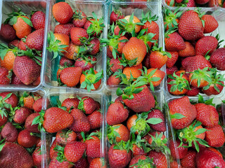 Strawberries in open plastic containers on the market window.