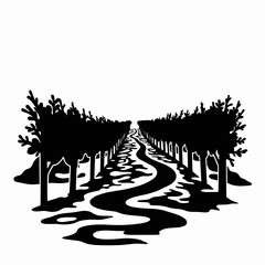 Fototapeta premium Vineyard silhouette with winding path, black and white tranquility