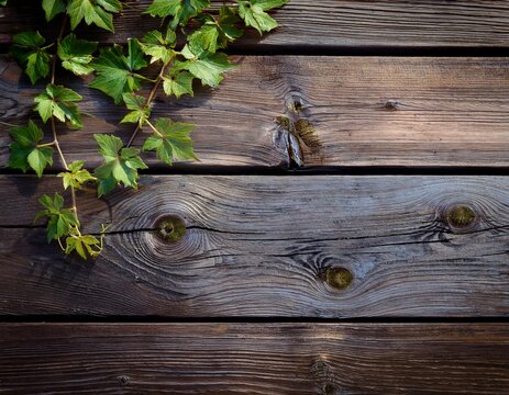 old wooden fence