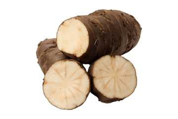 Wild Yam is on Transparent Background, PNG Image.