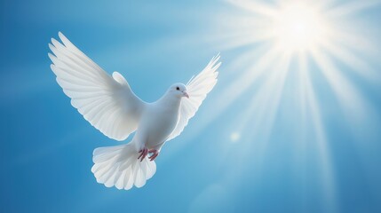 Elegant white dove flying against a soft, bright background with warm sunlight. Symbol of peace, purity, and hope in a serene minimalist composition.