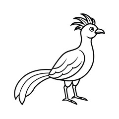Hoatzin