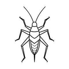 Katydid