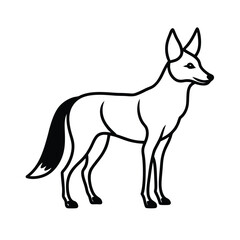 maned wolf
