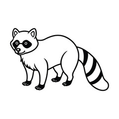 raccoon dog