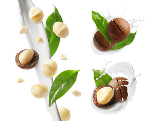 Nut milk, macadamias and green leaves isolated on white, collage