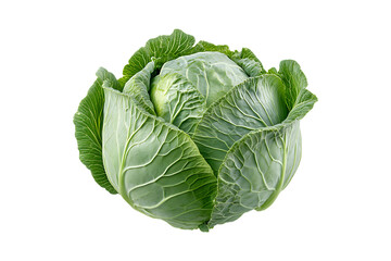 Obraz premium Organic Cabbage Isolated on Transparent Background PNG Image.