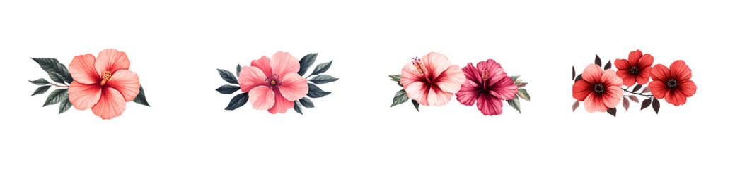 Tropical flowers, hibiscus, and poppy floral composition, cut out transparent