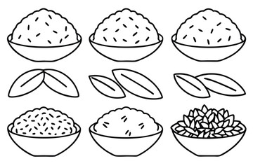 Different Types of Rice on White Background