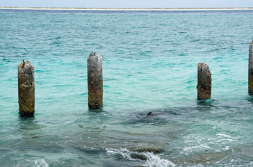 rotten jetty on gulhi island on the maledives