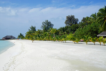 exotic tropical island on the maldives