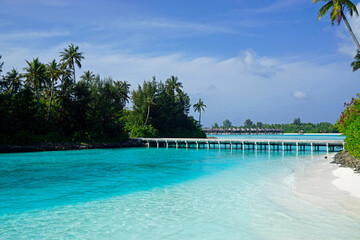 exotic tropical island on the maldives