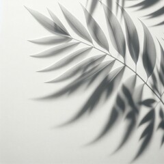 Fototapeta premium Elegant shadow of palm leaves on a soft background, perfect for natural, organic, and minimalist themes in design, wellness, and lifestyle marketing.