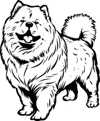 Obraz premium Chow Chow Dog, animal, vector, mammal, sketch, cat, pet, wildlife, nature, dog, illustration, fur, wild, drawing, bear, head, hand drawn, isolated, black, cute, white, shaggy, tail, zoo, beast, domest