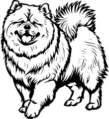 Fototapeta premium Chow Chow Dog, animal, vector, mammal, sketch, cat, pet, wildlife, nature, dog, illustration, fur, wild, drawing, bear, head, hand drawn, isolated, black, cute, white, shaggy, tail, zoo, beast, domest