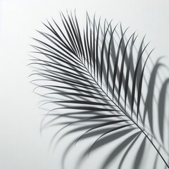 Obraz premium Elegant palm leaf casting a delicate shadow against a minimalist background, perfect for botanical, interior design, or wellness-themed projects.