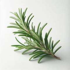 Fototapeta premium Fresh rosemary branch on a light background, perfect for culinary, wellness, and natural product themes.