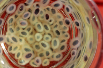 Soak holy basil seeds in chamomile tea to improve germination