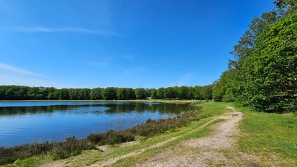 Natural swimming lake pond Spokeplas near Noordwolde in the Netherlands. Recreational lake surrounded by a lush nature forest.