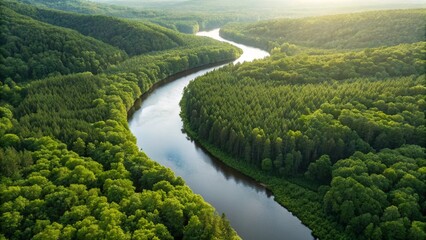 An aerial view of a winding river flowing through a dense, lush green forest, with sunlight reflecting off the water's surface