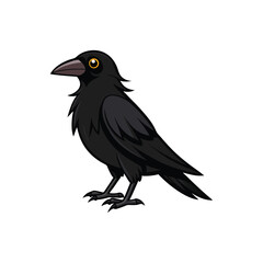 Fototapeta premium crow on a white background