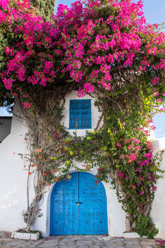 Sidi Bou Said, Tunisia, Africa. A picturesque doorway in town.