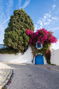Sidi Bou Said, Tunisia, Africa. A picturesque doorway in town.