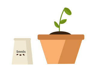 Set of sprouts in a pot and a bag of seeds