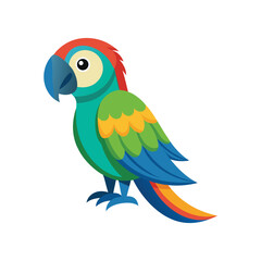 blue and yellow macaw