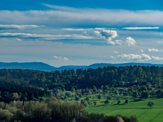 Fototapeta premium Baumgrundstück im Frühjahr