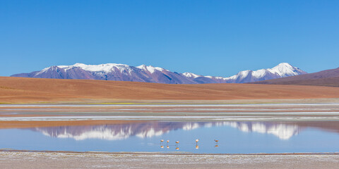Bolivian Altiplano Lagoon