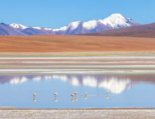 Bolivian Altiplano Lagoon