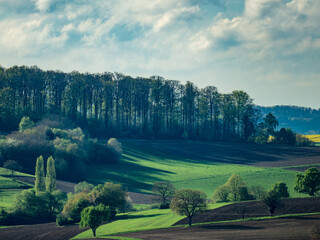 Baumgrundstück im Frühjahr