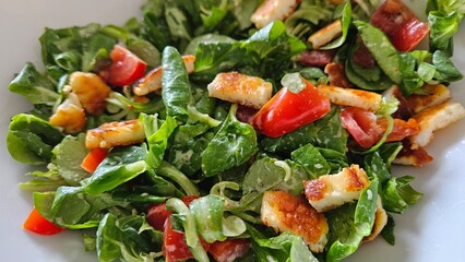 Close up of fresh green healthy salad meal with lettuce, tomato, and grilled halloumi. 