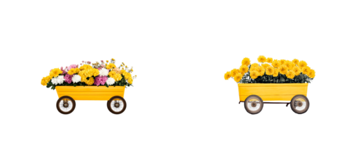 Flower Wagons with Yellow, White, Purple Flowers, cut out transparent