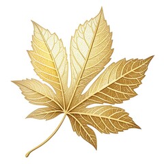 autumn leaves isolated on white