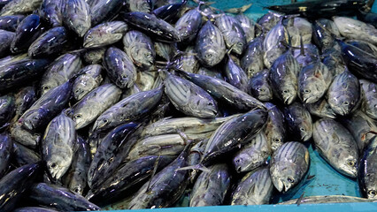 fresh fish from the fishmarket