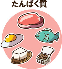 たんぱく質　線あり