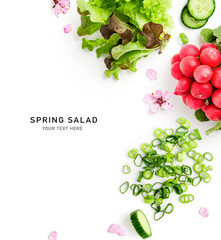 Lettuce, radish, onion and cherry flowers spring salad photography isolated on white background.