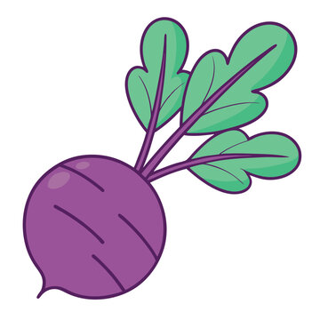 recommend clip art: Fresh Purple Beetroot with Green Leaves: Healthy Root Vegetable.
