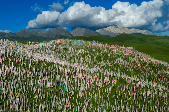 Tibet, Kham, Litang. Tibetan nomads near Litang. Hill covered in prayer flags.