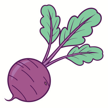 recommend clip art: Fresh Purple Beetroot with Green Leaves: Healthy Root Vegetable.