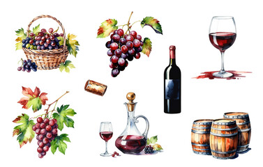 Set of watercolor grape vine clipart with red grapes, wooden barrel, red wine glass, bottle and wicker basket full of grape, hand painted water color. Transparent background