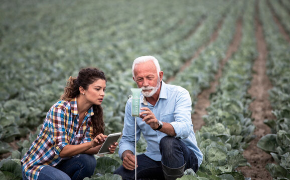 Farmers analyzing soil moisture and rain quantity in vegetable field during daytime