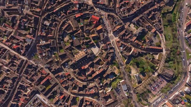 French town of Beaune surrounded by early blooming trees. Aerial drone video