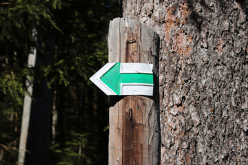 Tourist sign - arrow with the direction of the route marked in green, Czech Republic