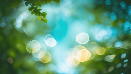 Fototapeta premium Bokeh. Nature Travel and Holiday Idea. Summer Woodland with Green Tree Tops Against Blue Sky. Observing the Tops of Trees.