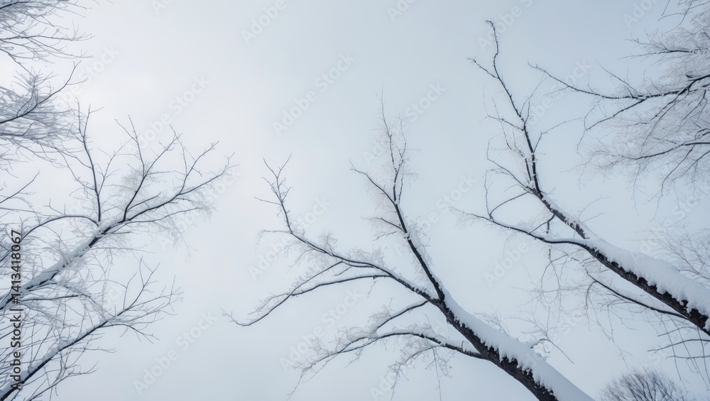 Poster tree branches isolated on a background covered in snow